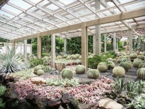 Timur-Facility-Taman Kaktus